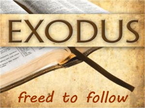 Freed to Follow – an exodus Journey Week 8